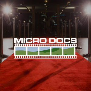 Microdocs