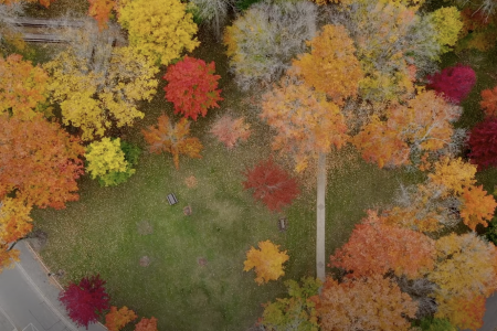 No ordinary shack aerial shot with drone